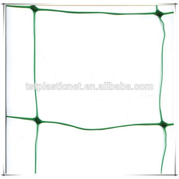 Malha JARDIM TRELLIS APOIO NETTING BEAN PEA TRELLINET